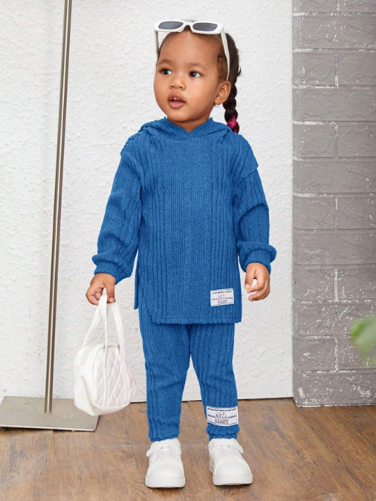 Baby Girl Casual Knit Hoodie Top And Pants Set