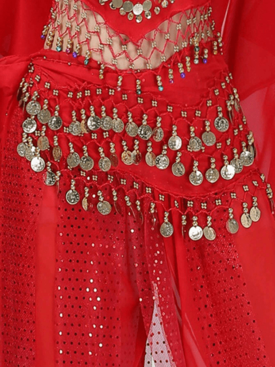1pc Women's Belly Dance Waist Chain, Dance Costume Belly Dance Show Festival Waist Scarf, Chiffon Waist Chain Belt, Belly - Dance Waist Skirt Boho - Lolli World Marketplace