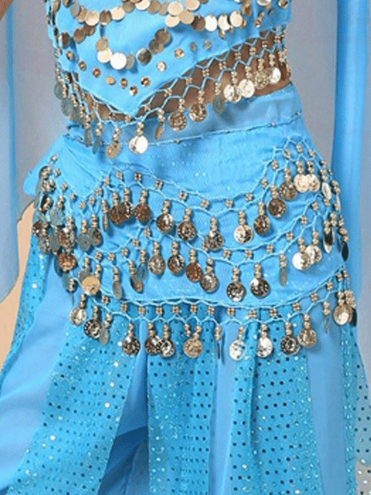 1pc Women's Belly Dance Waist Chain, Performance Sash, Chiffon Belt, Waist Accessory, Skirt For Dance Shows And Festivals Boho - Lolli World Marketplace