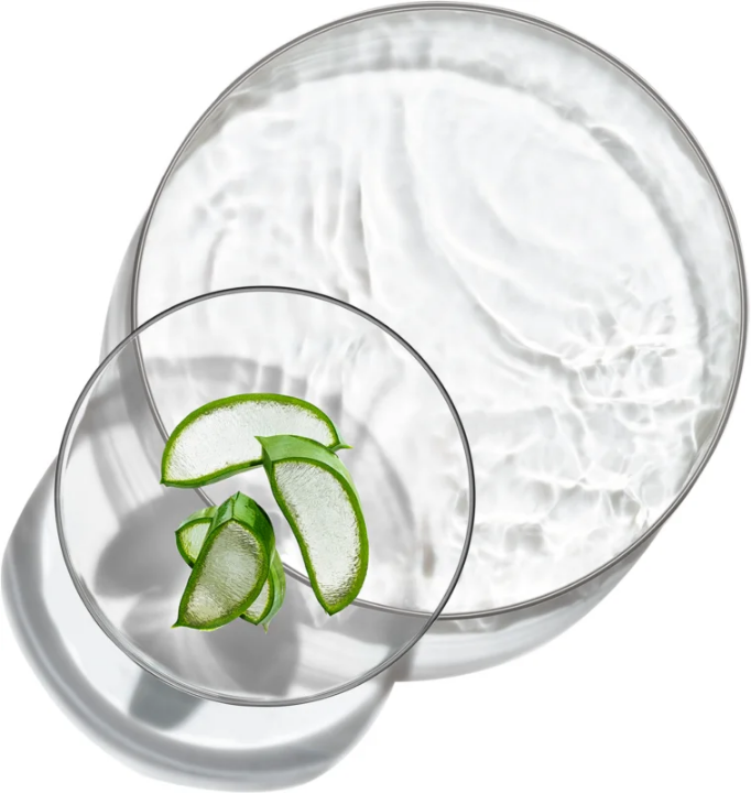 Garnier Hyaluronic Aloe Jelly