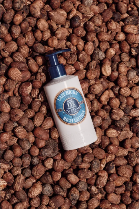 L’Occitane Shea