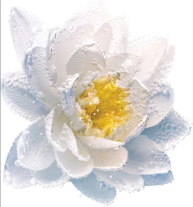 DIOR Eye & Lip Makeup Remover