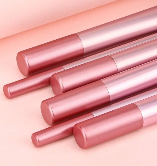 6 - Pieces Professional Cosmetic Brush Set