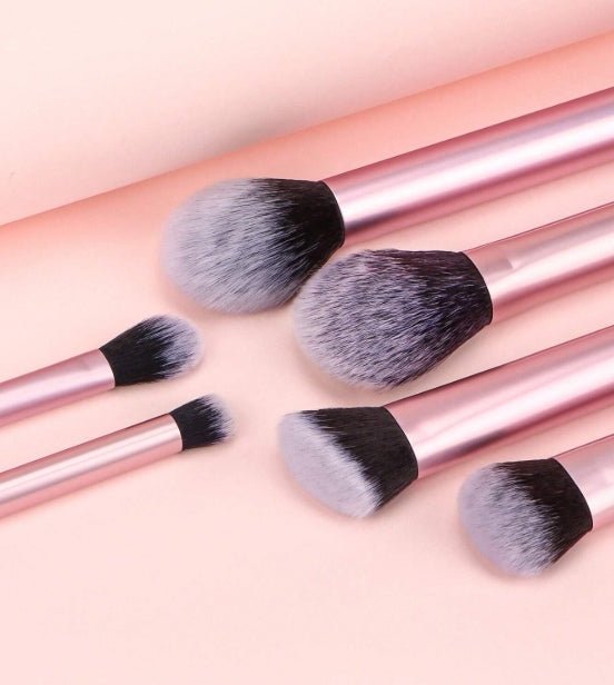 6 - Pieces Professional Cosmetic Brush Set