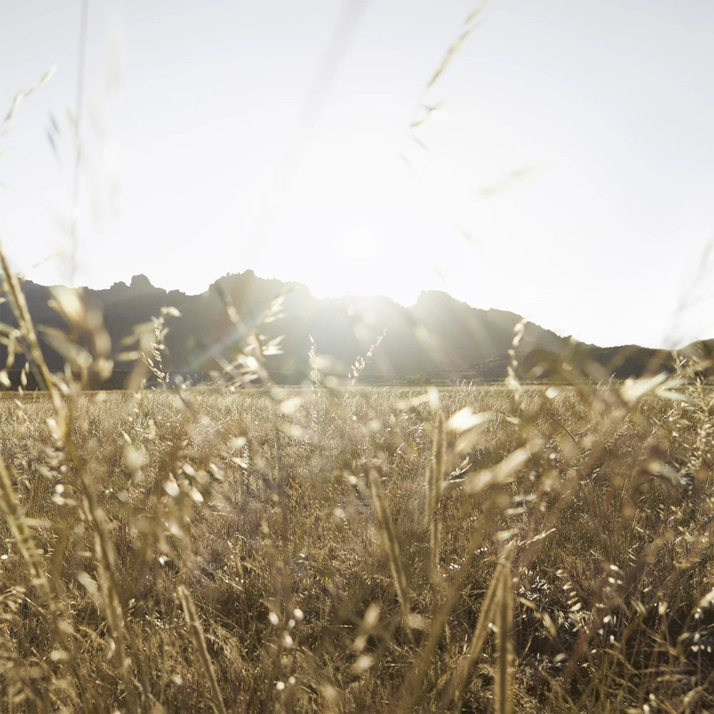 Burberry Goddess Eau de Parfum Refillable for Women