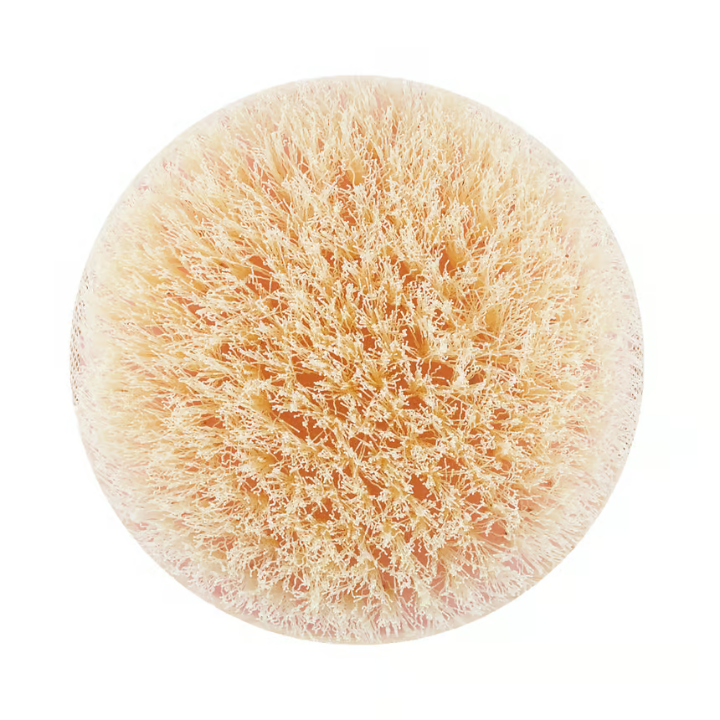 Ecotools Dry Body Brush