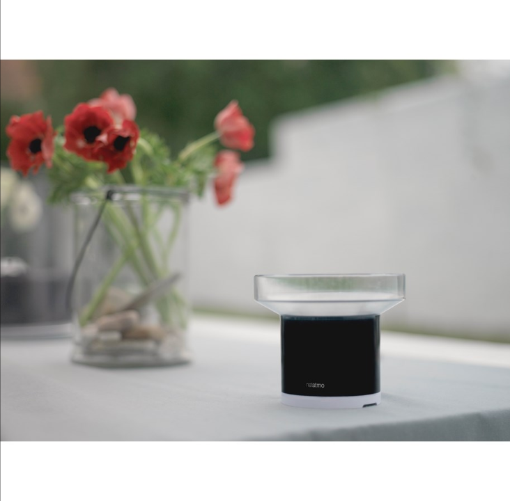 Netatmo Smart Rainwater meter