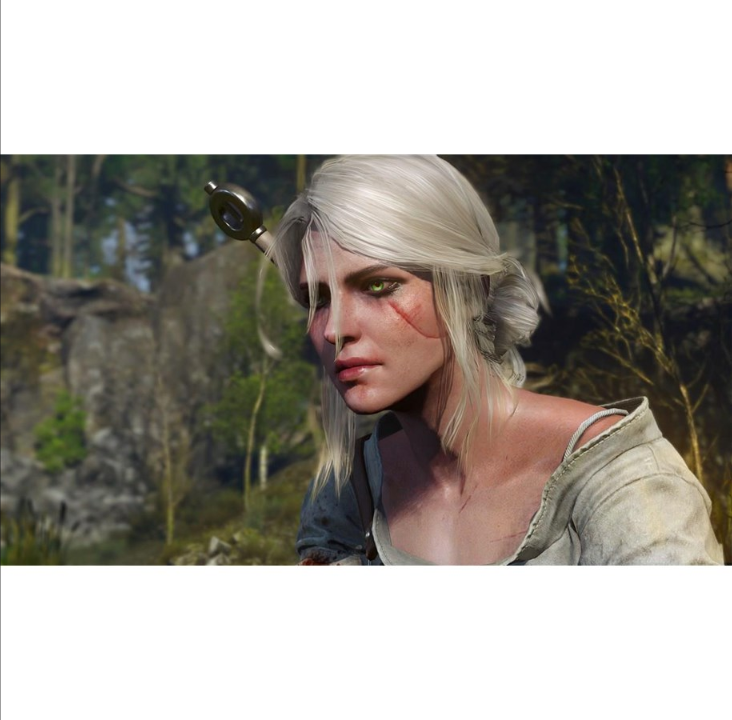 The Witcher III: Wild Hunt - إصدار لعبة العام - سوني بلاي ستيشن 4 - آر بي جي