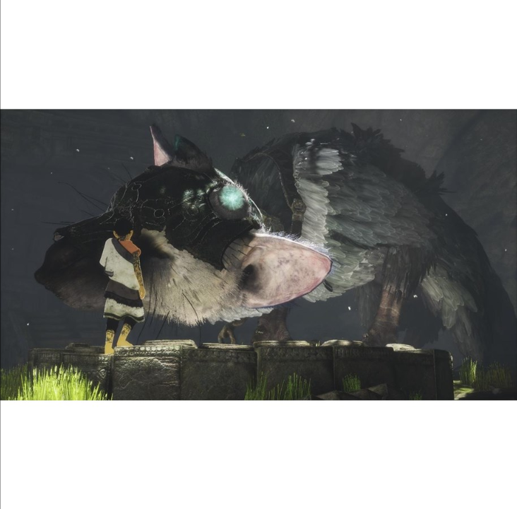 The Last Guardian - Sony PlayStation 4 - Adventure