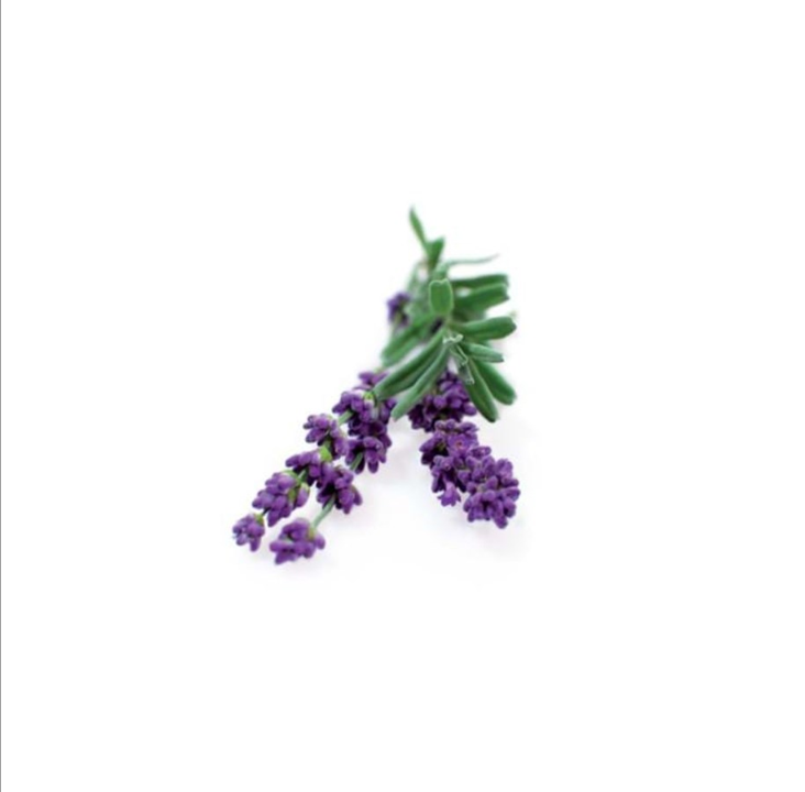 Click and Grow Smart Garden refill 3-pack - Lavender