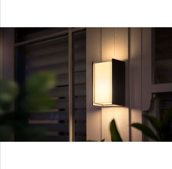 Philips Hue Outdoor Turaco wall lamp