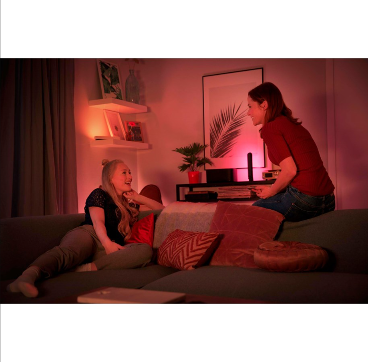 Philips Hue Play Double Pack - Black