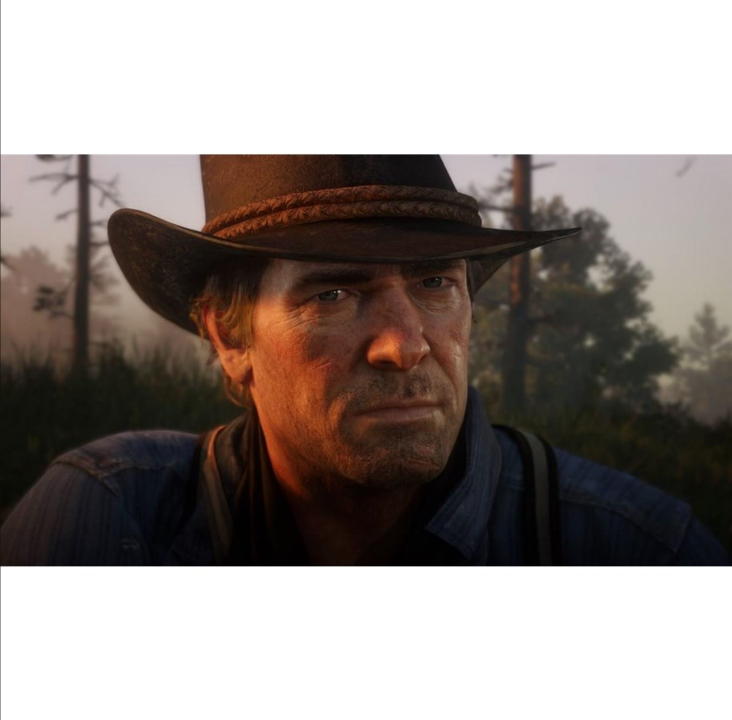 Red Dead Redemption 2 - Sony PlayStation 4 - 动作