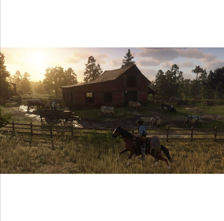 Red Dead Redemption 2 - Sony PlayStation 4 - 动作