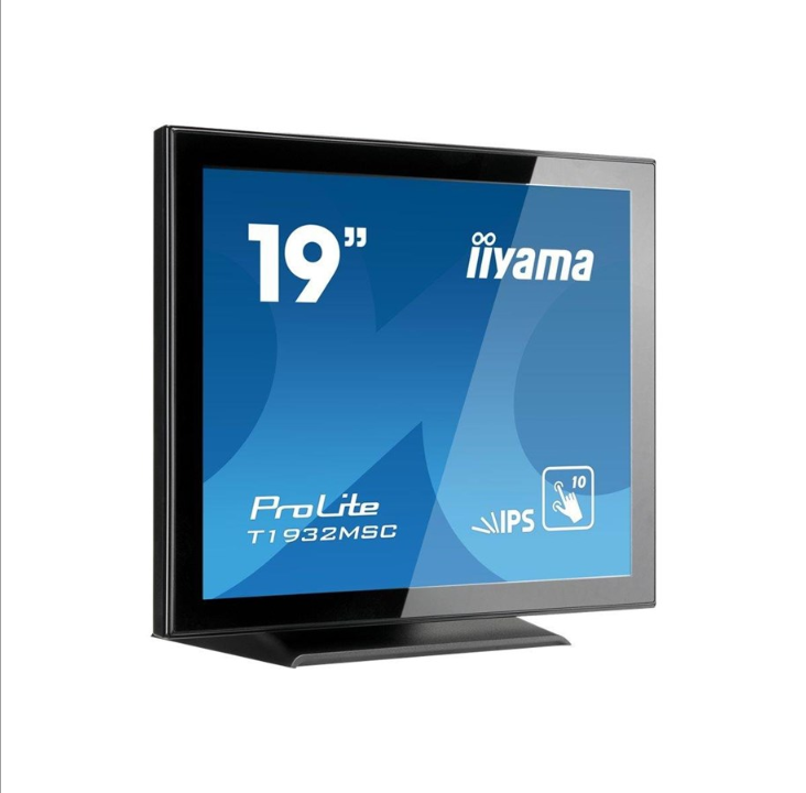 19" iiyama ProLite - 14 ms - Screen