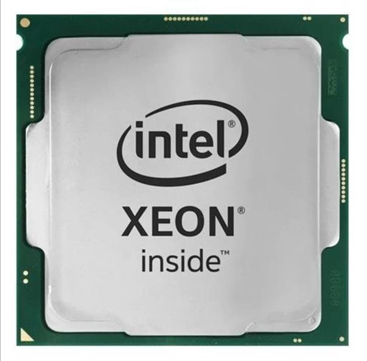 Intel Xeon E-2226G / 3.4 GHz processor CPU - 6 cores - 3.4 GHz - Intel LGA1151 - Bulk (without cooler)