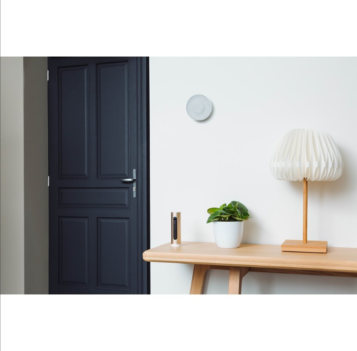 Netatmo Smart Indoor door