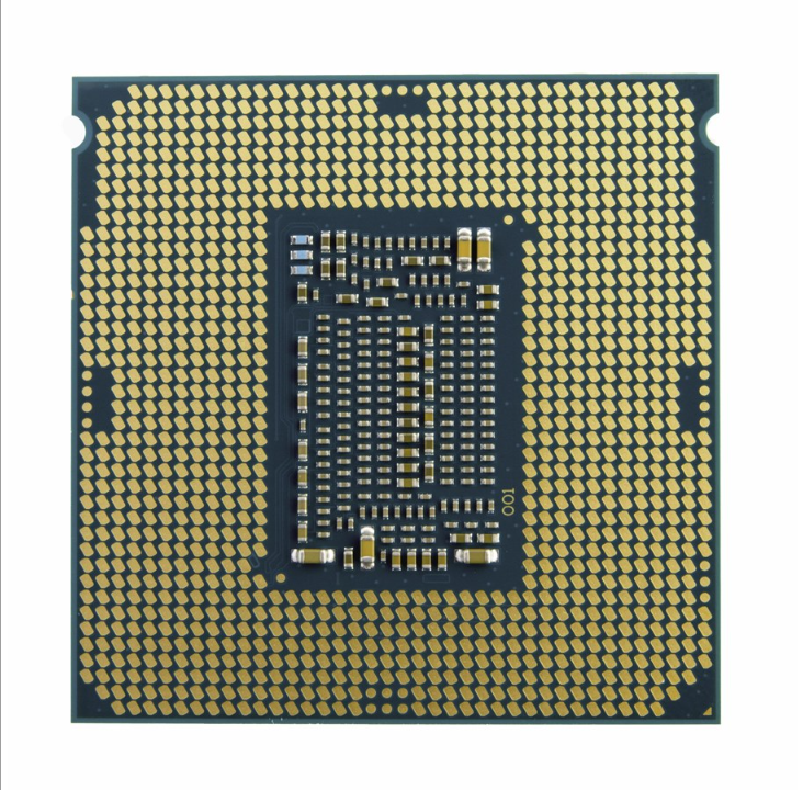 Intel Xeon W W-2245 / 3.9 GHz processor CPU - 8 cores - 3.9 GHz - Intel LGA2066 - Bulk (without cooler)