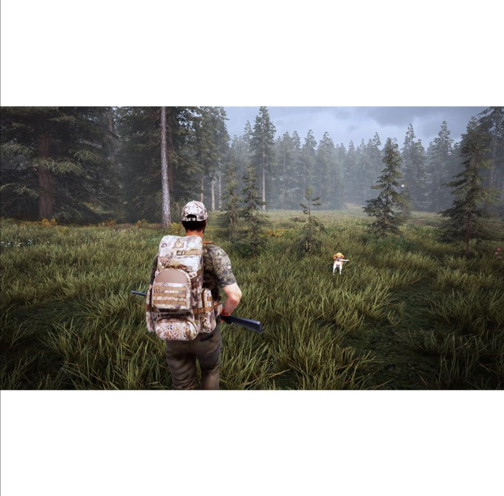 Hunting Simulator 2 - Sony PlayStation 4 - Hunting