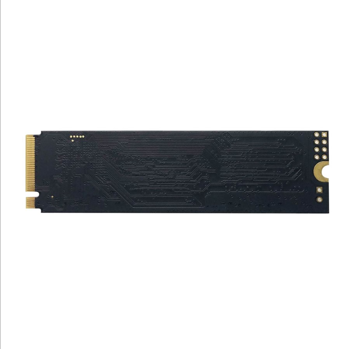 باتريوت P300 SSD - 256 جيجا بايت - M.2 2280 - PCIe 3.0