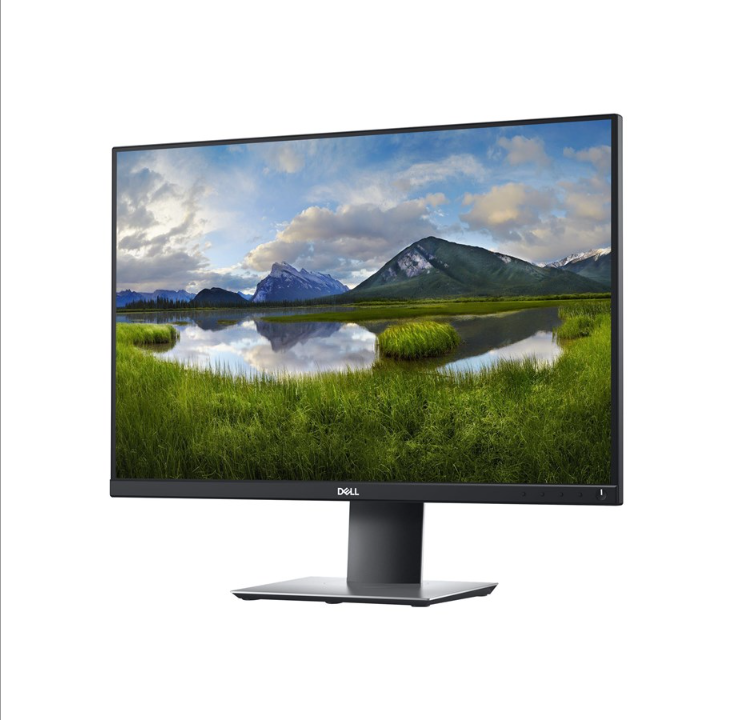 24" Dell P2421 - 1920x1200 (WUXGA) - IPS - USB HUB - 5 ms - Screen