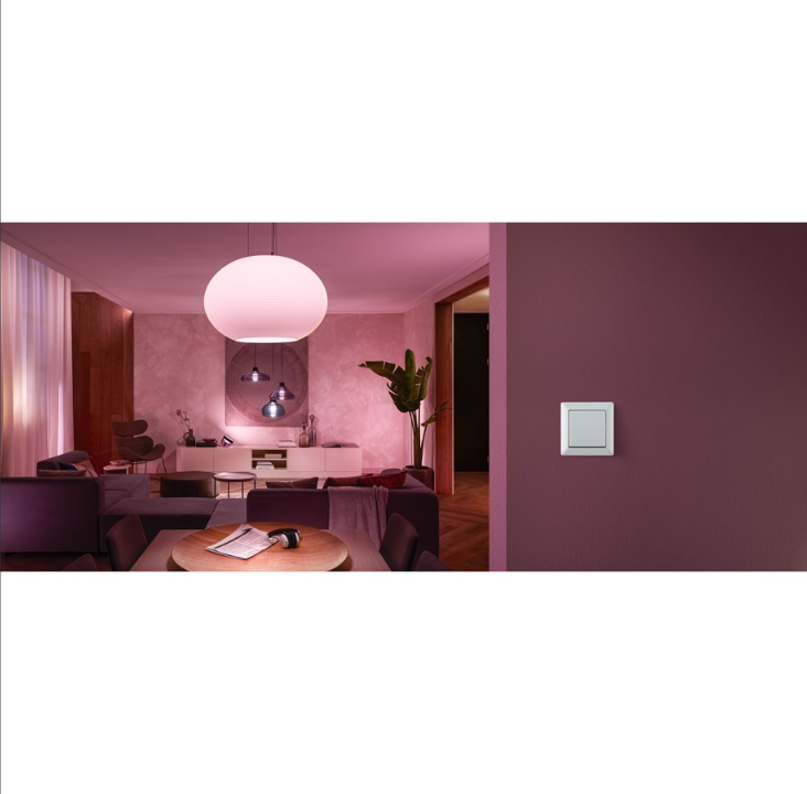 Philips Hue Wall Switch Module