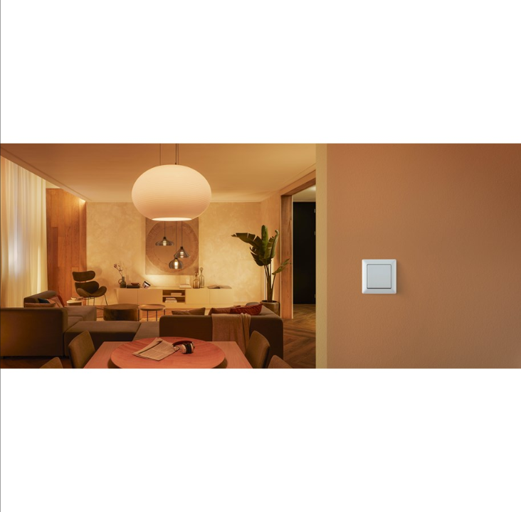 Philips Hue Wall Switch Module