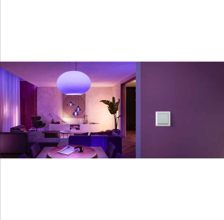 Philips Hue Wall Switch Module