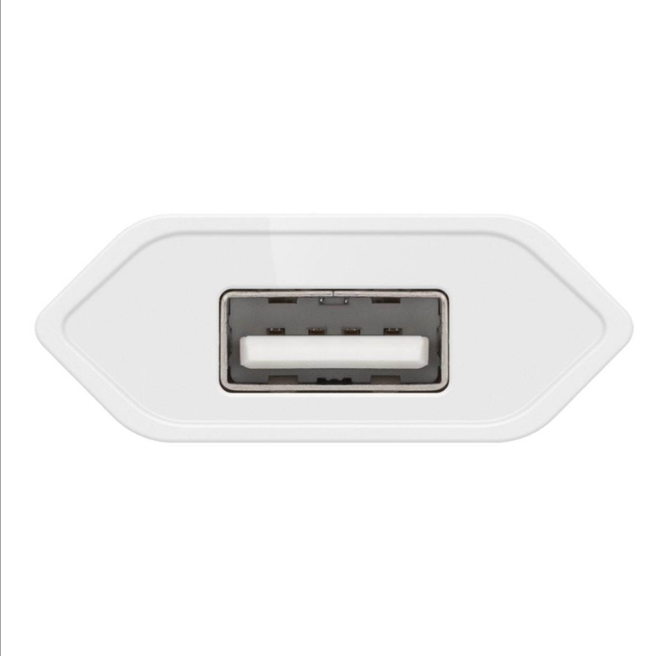 Pro Apple Lightning charger set 1 A