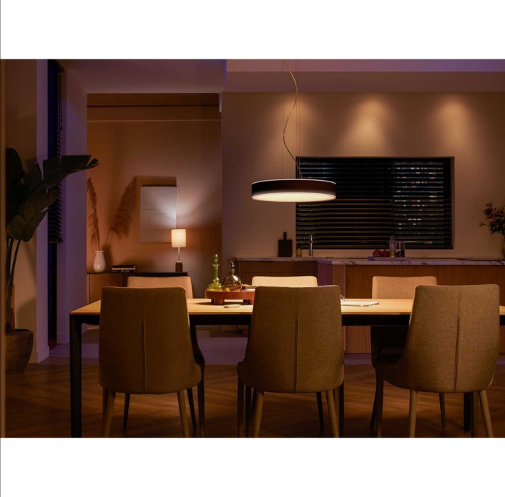 Philips Hue Enrave Pendant Lamp - Black