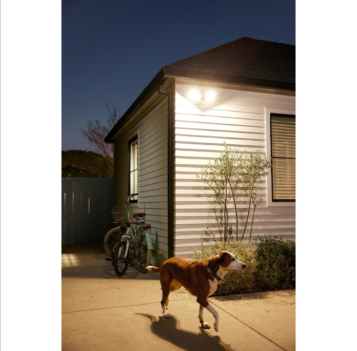 Google Nest Cam with Floodlight