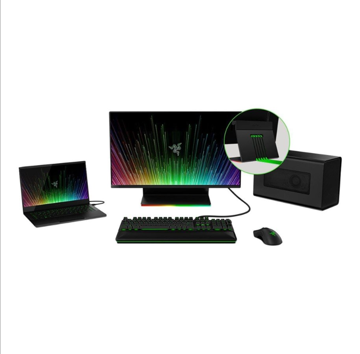 27" Razer Raptor - 2560x1440 - 165Hz - IPS - USB-C - 1 ms - Screen