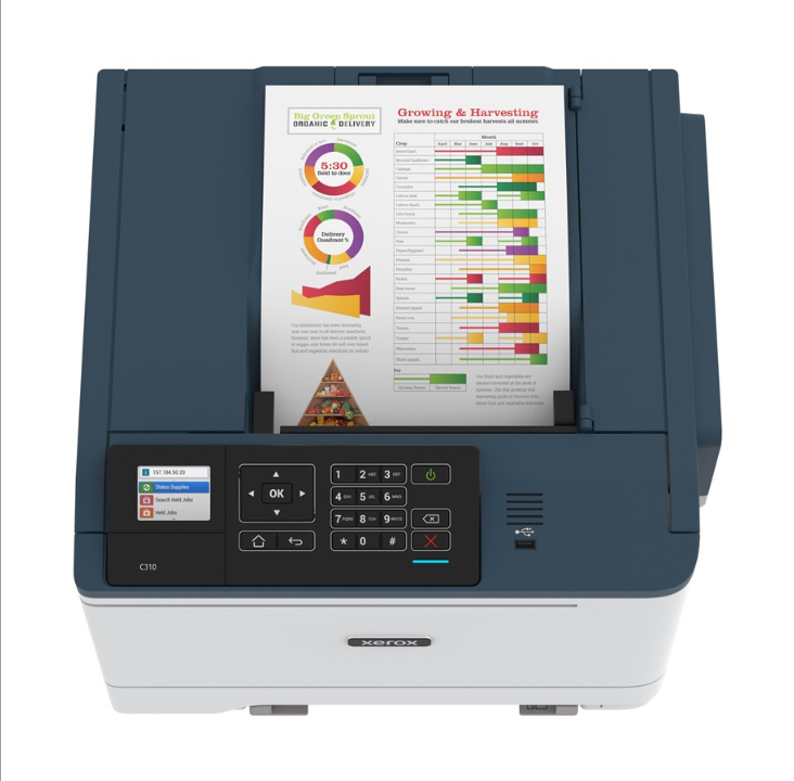 Xerox C310 Color Laser (C310V/DNI) Laser printer - Color - Laser