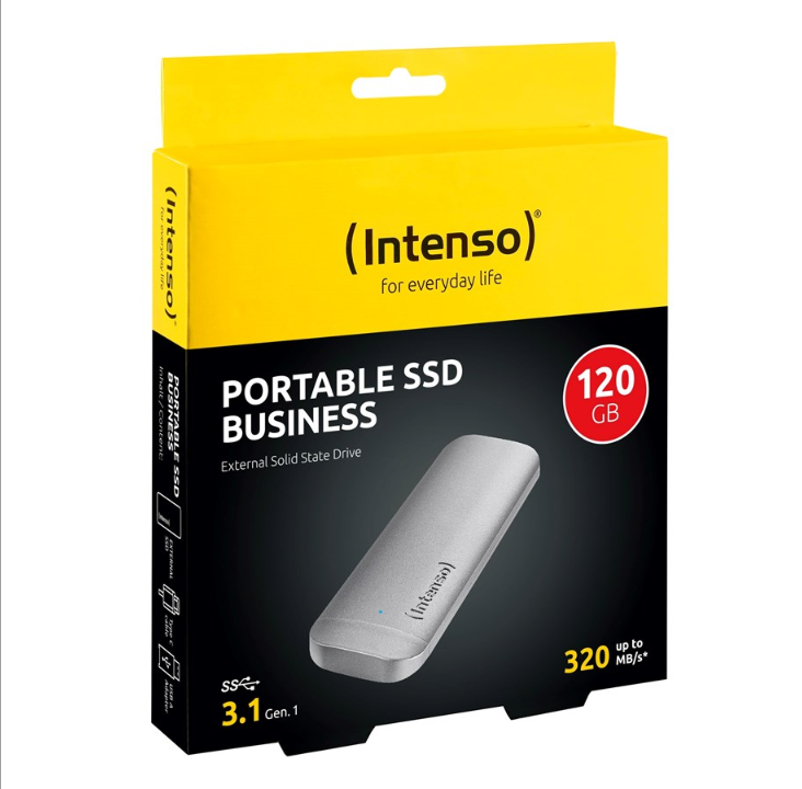 Intenso Business External SSD - 120GB