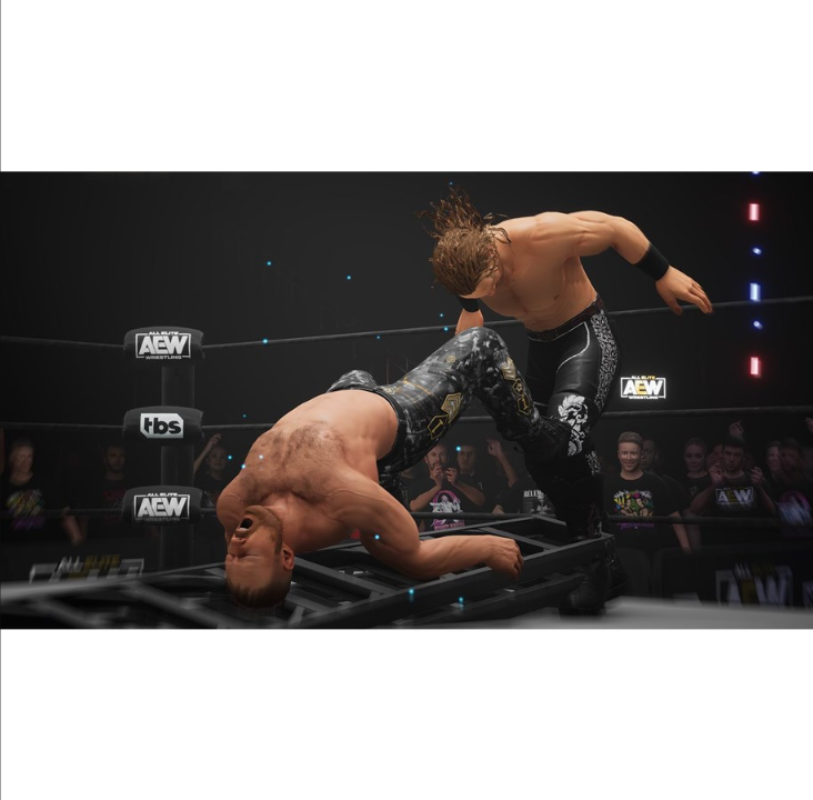 AEW: Fight Forever - Nintendo Switch - Martial Arts