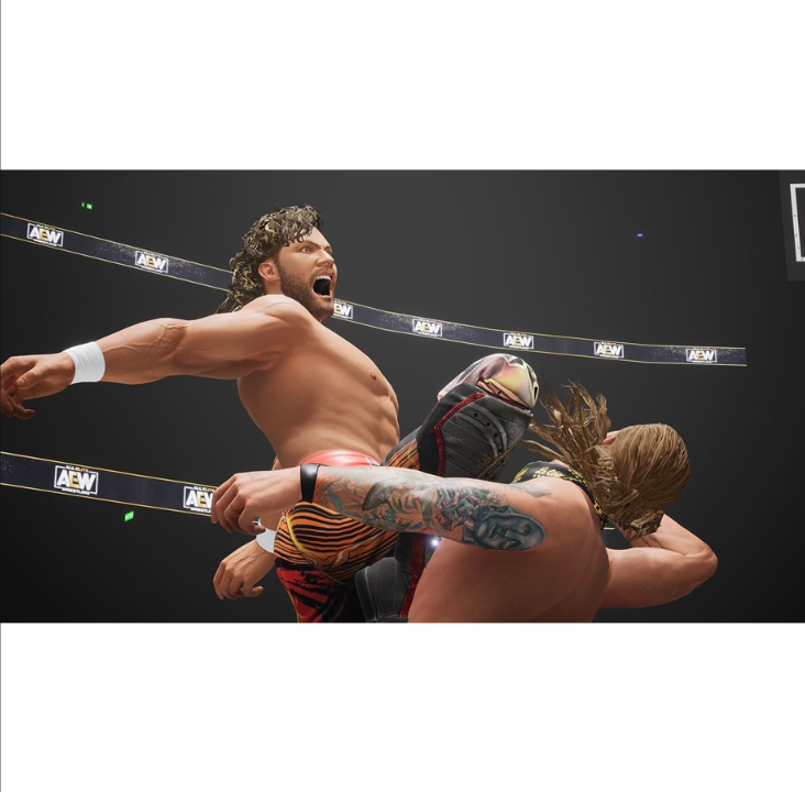 AEW: Fight Forever - Sony PlayStation 4 - Martial Arts