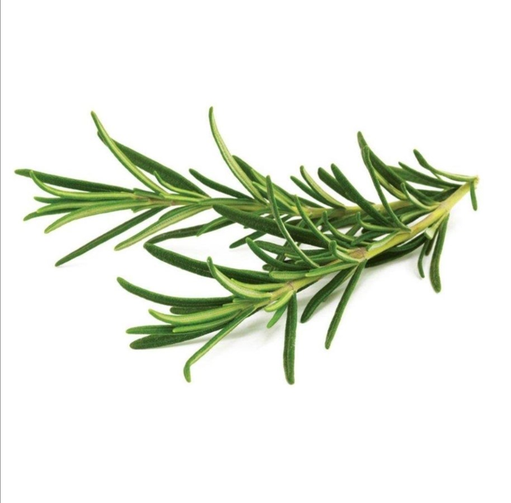 Click and Grow Smart Garden refill 3-pack - Rosemary