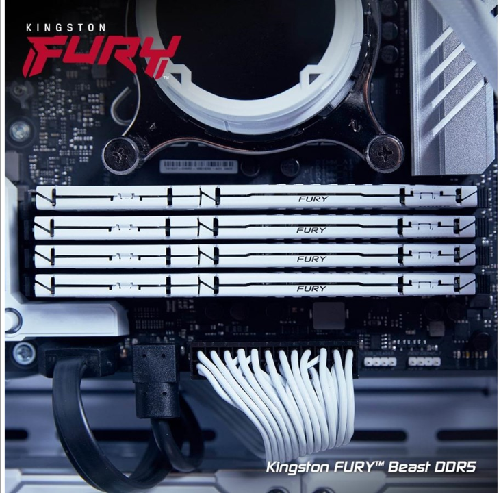 Kingston FURY Beast?dDR5-5200 C40 SC - 16GB XMP