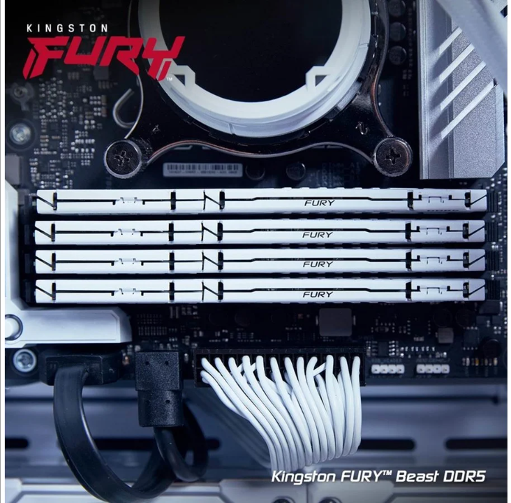 Kingston FURY Beast?dDR5-5600 C40 SC - 16GB