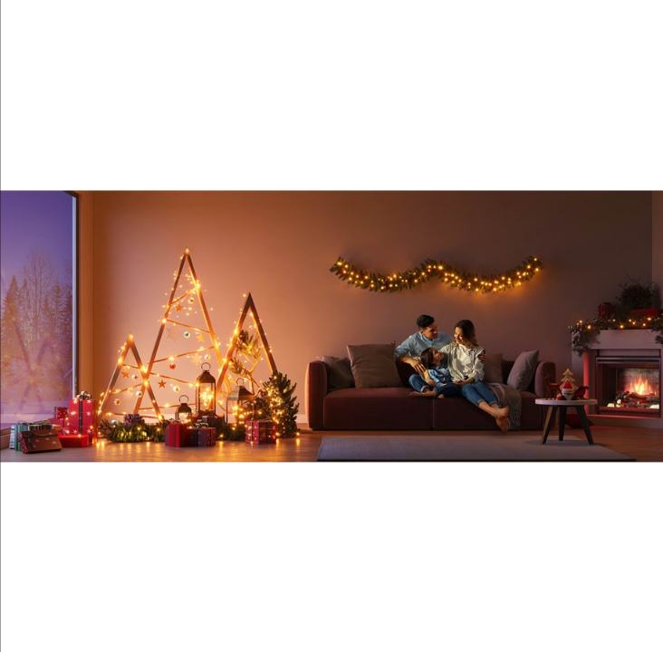 Govee Christmas Light 10m