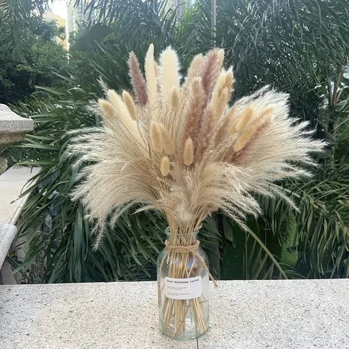 50pcs Natural Dried Pampas Grass Bouquet ,Boho Home Decor Bouquet, Phragmites Dried Flowers, Bouquet For Wedding Floral Arrangements Home Decorations