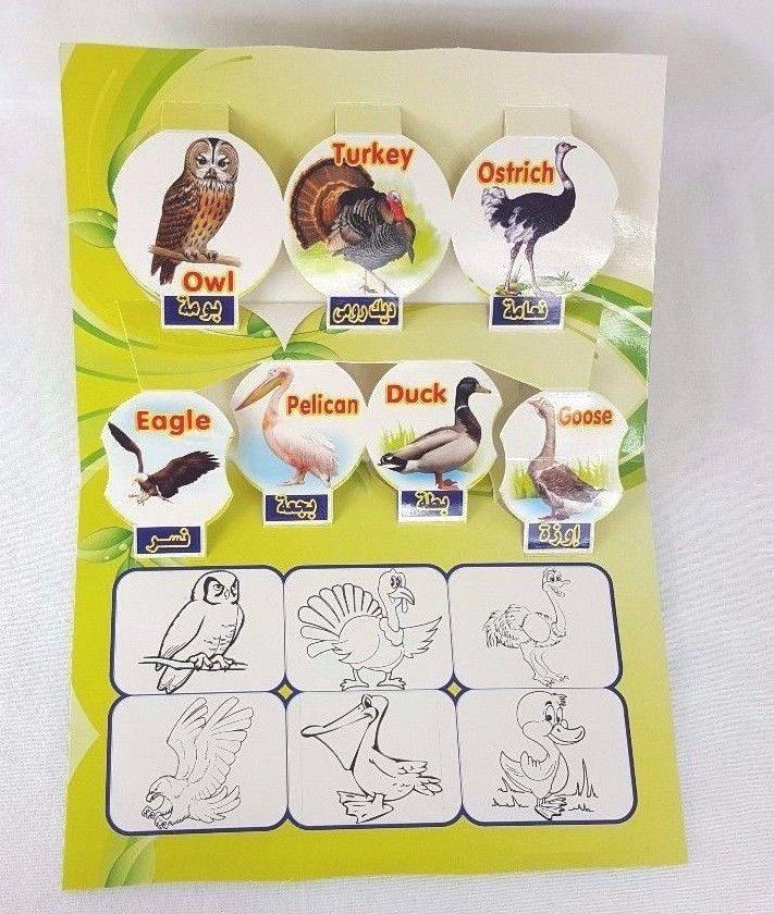 Children Pop-up book (Arabic-English) Pre-School Write&Wipe 1000 Times - Arabian Shopping Zone