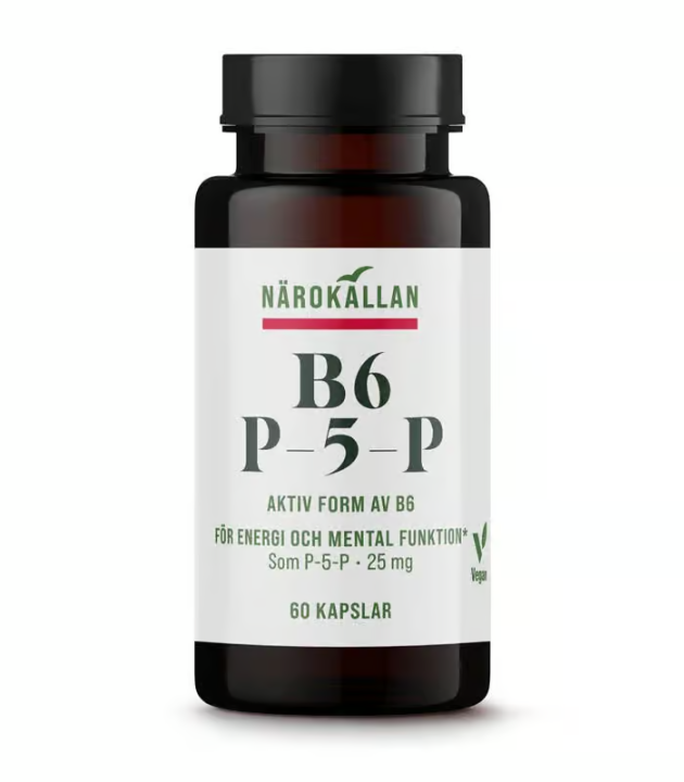 CLOSE SOURCE B6 P-5-P 60 capsules