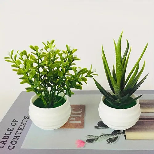 1pc, Artificial Succulent Green Plant, Plastic White Pots, Home Office Desktop Simulation Succulent Aloe Vera Green Dill Plant Potted Plant, Suitable For Desktop Window Bookshelf Decoration